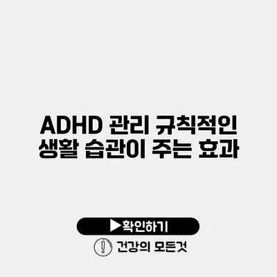 ADHD 관리 규칙적인 생활 습관이 주는 효과