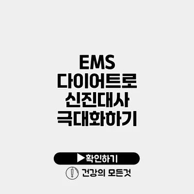 EMS 다이어트로 신진대사 극대화하기