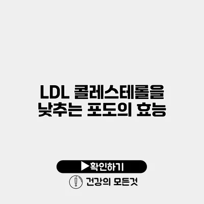 LDL 콜레스테롤을 낮추는 포도의 효능