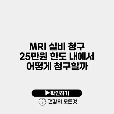 MRI 실비 청구 25만원 한도 내에서 어떻게 청구할까?