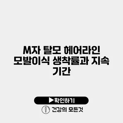 M자 탈모 헤어라인 모발이식 생착률과 지속 기간