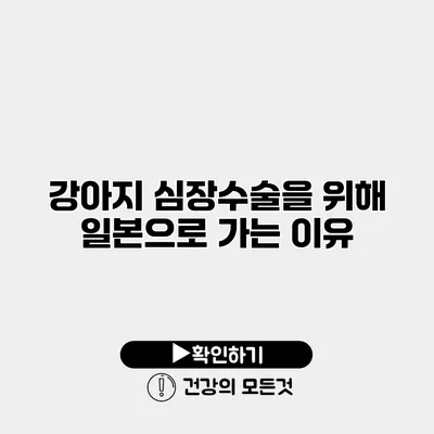 강아지 심장수술을 위해 일본으로 가는 이유