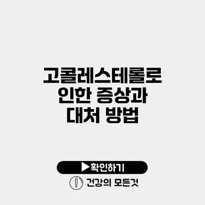 고콜레스테롤로 인한 증상과 대처 방법