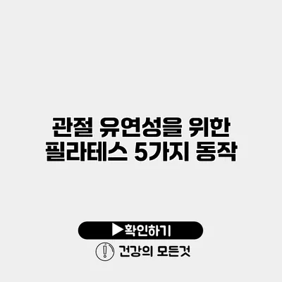 관절 유연성을 위한 필라테스 5가지 동작