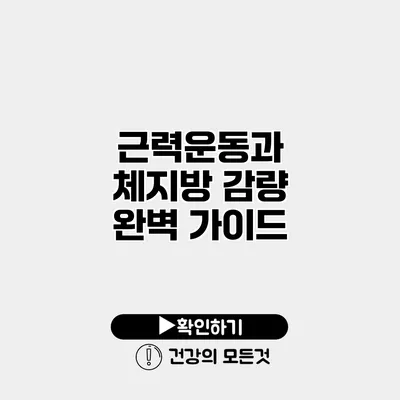 근력운동과 체지방 감량 완벽 가이드