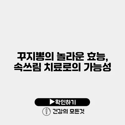 꾸지뽕의 놀라운 효능, 속쓰림 치료로의 가능성