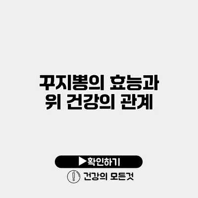 꾸지뽕의 효능과 위 건강의 관계
