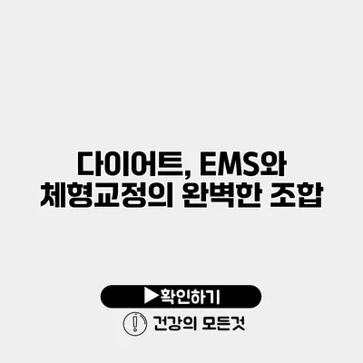 다이어트, EMS와 체형교정의 완벽한 조합