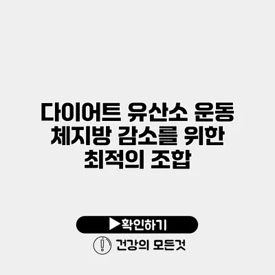 다이어트 유산소 운동 체지방 감소를 위한 최적의 조합