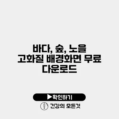 바다, 숲, 노을 고화질 배경화면 무료 다운로드