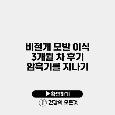 비절개 모발 이식 3개월 차 후기 암흑기를 지나기