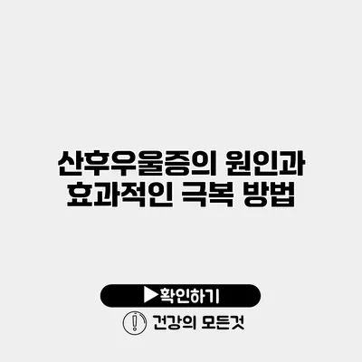 산후우울증의 원인과 효과적인 극복 방법
