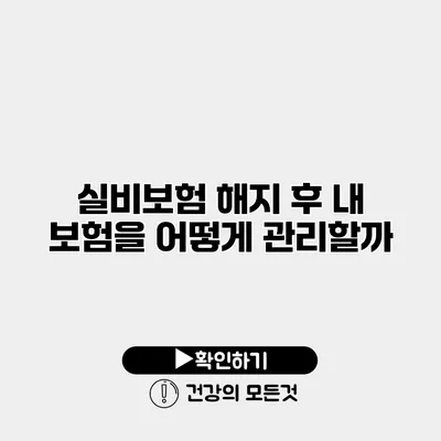 실비보험 해지 후 내 보험을 어떻게 관리할까?