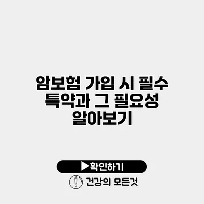 암보험 가입 시 필수 특약과 그 필요성 알아보기