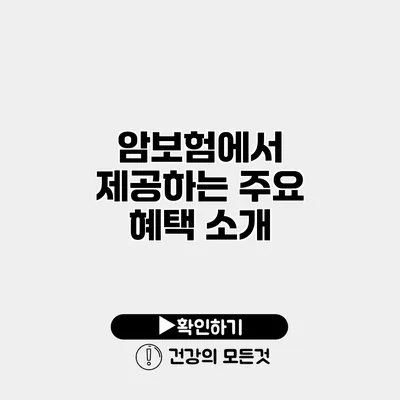 암보험에서 제공하는 주요 혜택 소개