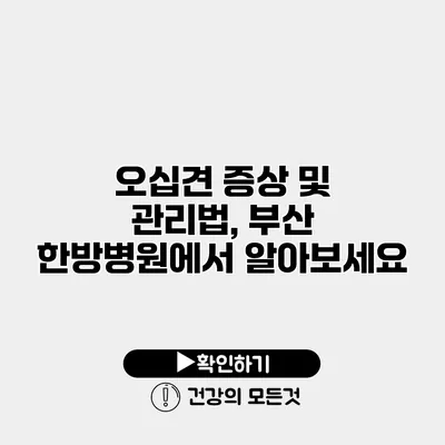 오십견 증상 및 관리법, 부산 한방병원에서 알아보세요
