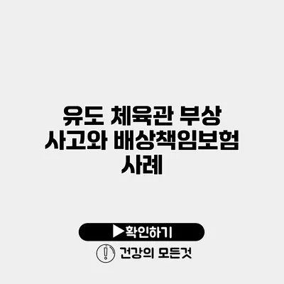 유도 체육관 부상 사고와 배상책임보험 사례