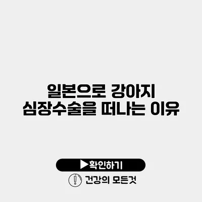 일본으로 강아지 심장수술을 떠나는 이유