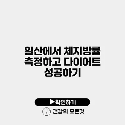 일산에서 체지방률 측정하고 다이어트 성공하기