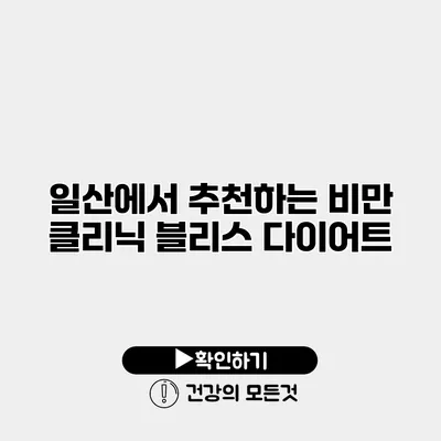 일산에서 추천하는 비만 클리닉 블리스 다이어트
