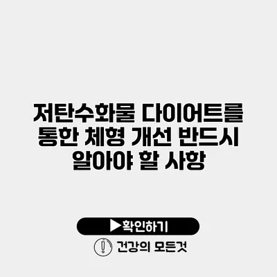 저탄수화물 다이어트를 통한 체형 개선 반드시 알아야 할 사항