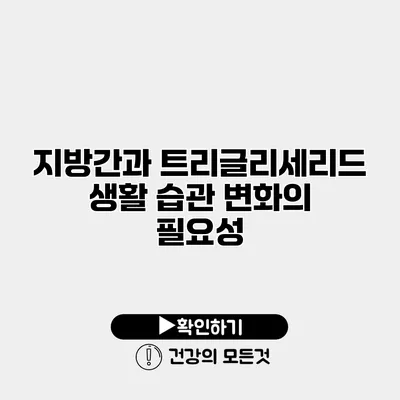 지방간과 트리글리세리드 생활 습관 변화의 필요성