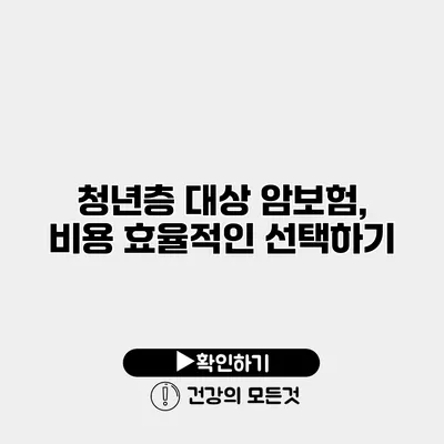 청년층 대상 암보험, 비용 효율적인 선택하기