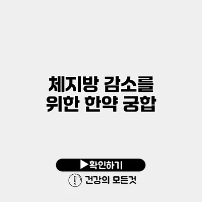 체지방 감소를 위한 한약 궁합
