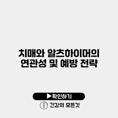 치매와 알츠하이머의 연관성 및 예방 전략