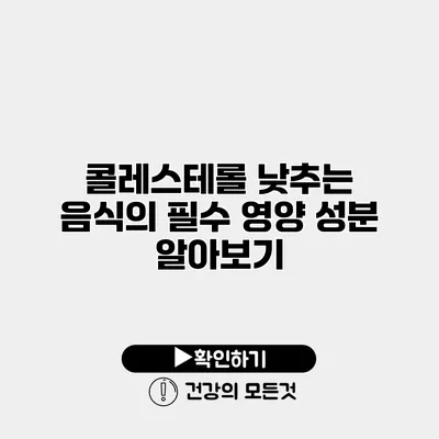 콜레스테롤 낮추는 음식의 필수 영양 성분 알아보기