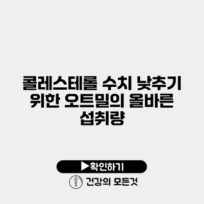 콜레스테롤 수치 낮추기 위한 오트밀의 올바른 섭취량