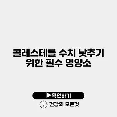 콜레스테롤 수치 낮추기 위한 필수 영양소