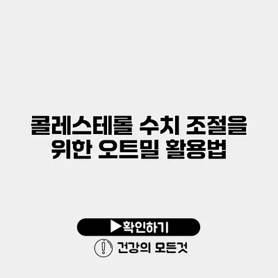 콜레스테롤 수치 조절을 위한 오트밀 활용법