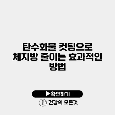 탄수화물 컷팅으로 체지방 줄이는 효과적인 방법