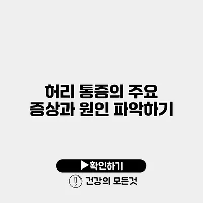 허리 통증의 주요 증상과 원인 파악하기