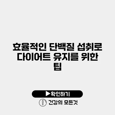 효율적인 단백질 섭취로 다이어트 유지를 위한 팁