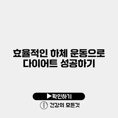 효율적인 하체 운동으로 다이어트 성공하기