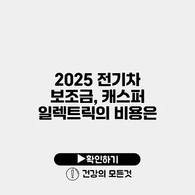 2025 전기차 보조금, 캐스퍼 일렉트릭의 비용은?