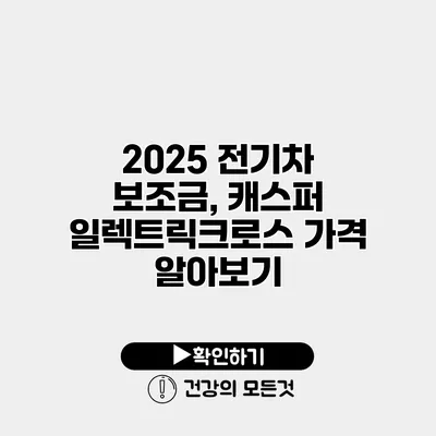 2025 전기차 보조금, 캐스퍼 일렉트릭크로스 가격 알아보기
