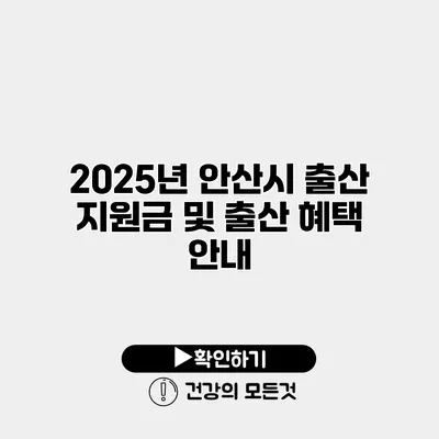 2025년 안산시 출산 지원금 및 출산 혜택 안내