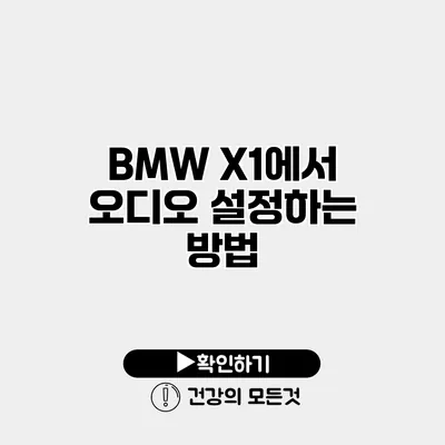 BMW X1에서 오디오 설정하는 방법