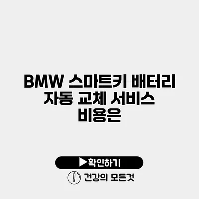 BMW 스마트키 배터리 자동 교체 서비스 비용은?