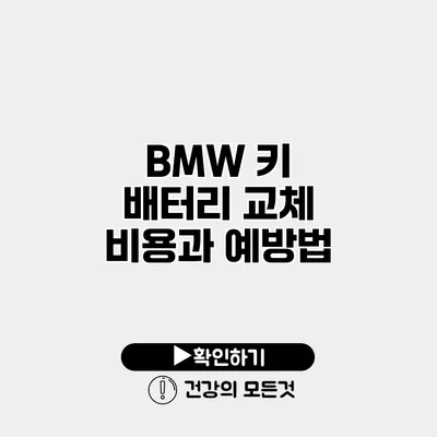 BMW 키 배터리 교체 비용과 예방법