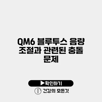 QM6 블루투스 음량 조절과 관련된 충돌 문제