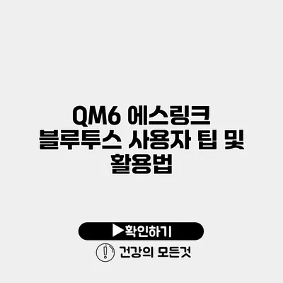 QM6 에스링크 블루투스 사용자 팁 및 활용법