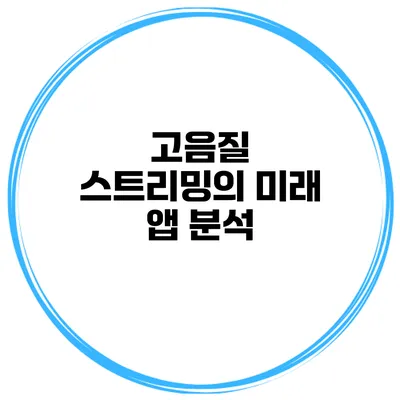 고음질 스트리밍의 미래 앱 분석