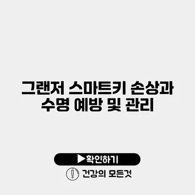 그랜저 스마트키 손상과 수명 예방 및 관리