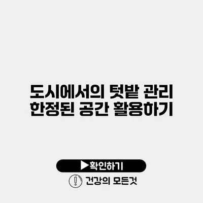 도시에서의 텃밭 관리 한정된 공간 활용하기