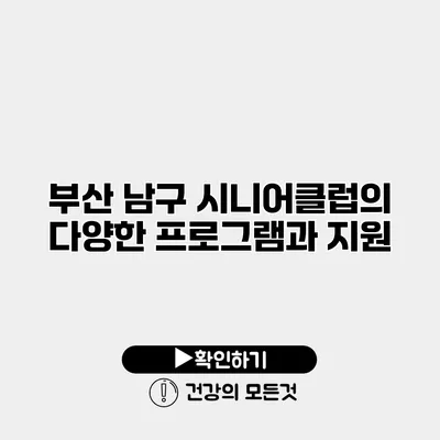 부산 남구 시니어클럽의 다양한 프로그램과 지원