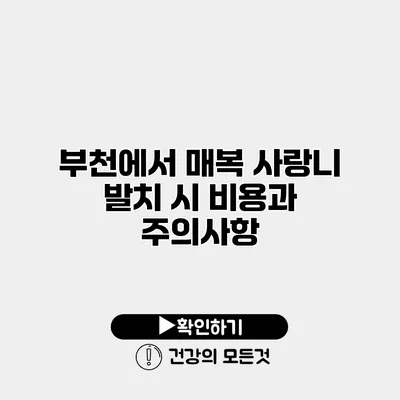 부천에서 매복 사랑니 발치 시 비용과 주의사항